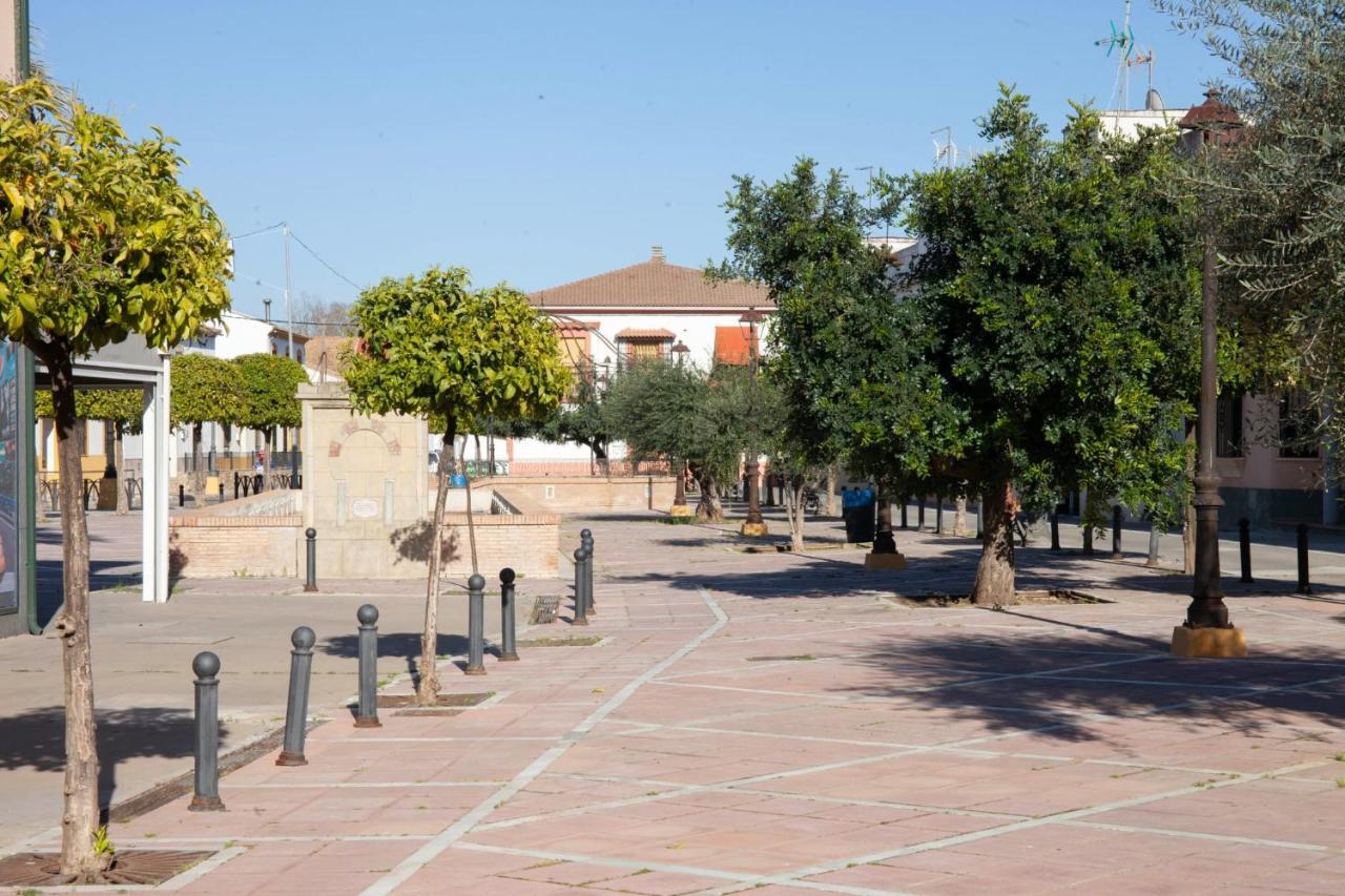 Casa Rural La Palmera Almodóvar del Río Kültér fotó